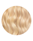 Hillary Topper
